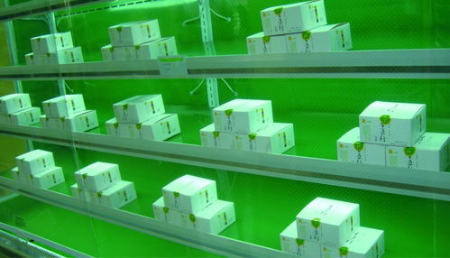 五行豆腐農(nóng)產(chǎn)品包裝設(shè)計與市場營銷策劃方案